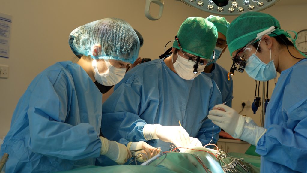 British Veterinary Centre Surgery