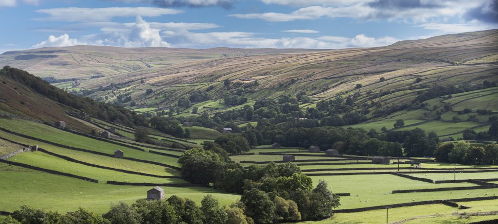 Swaledale scenic view (1)