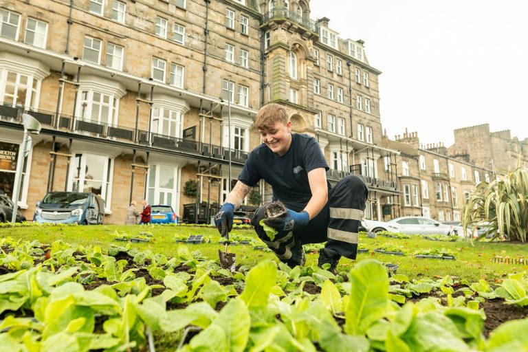 gardening