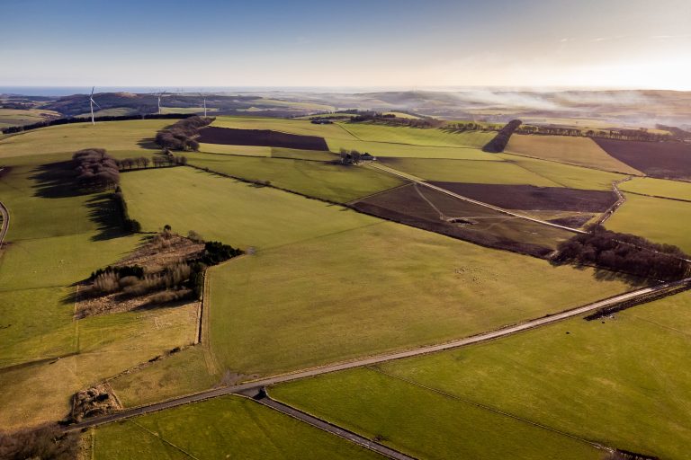 Backfield Farm, Lot2 Galbraith (1)